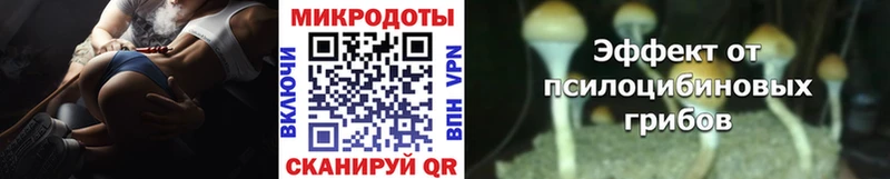 Псилоцибиновые грибы Psilocybine cubensis  Собинка 